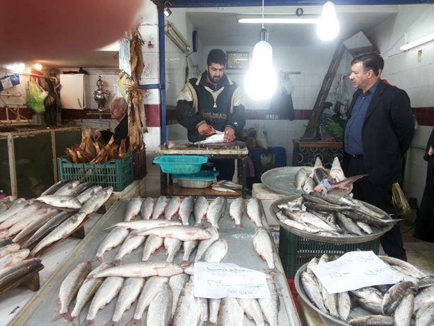 پنج ماهی جذاب که شما را مشتری دائمی بازار ماهی نوشهر می‌کند