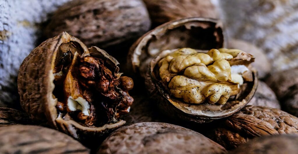 علت سیاه شدن گردو